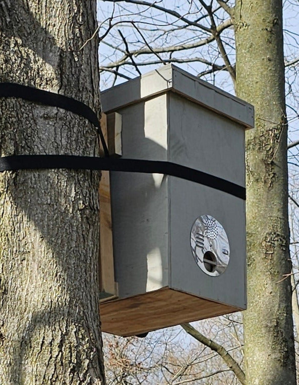 Layens Swarm Trap